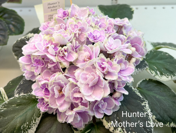 Hunter’s Mother’s Love