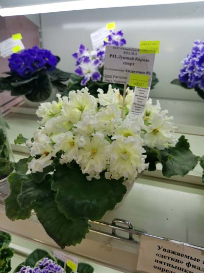 IMG_20250108_182346.jpg