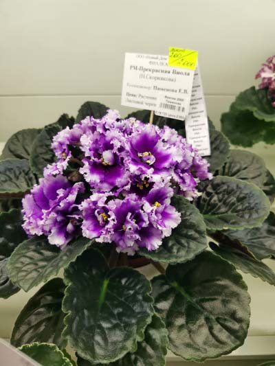 IMG_20250110_184755.jpg