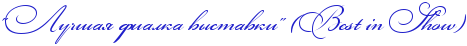 Бест ин шоу.png