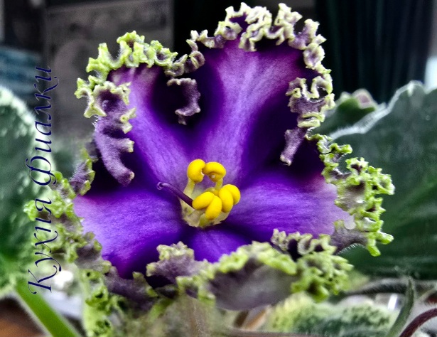 SmartSelect_20250218_154201_Gallery.jpg