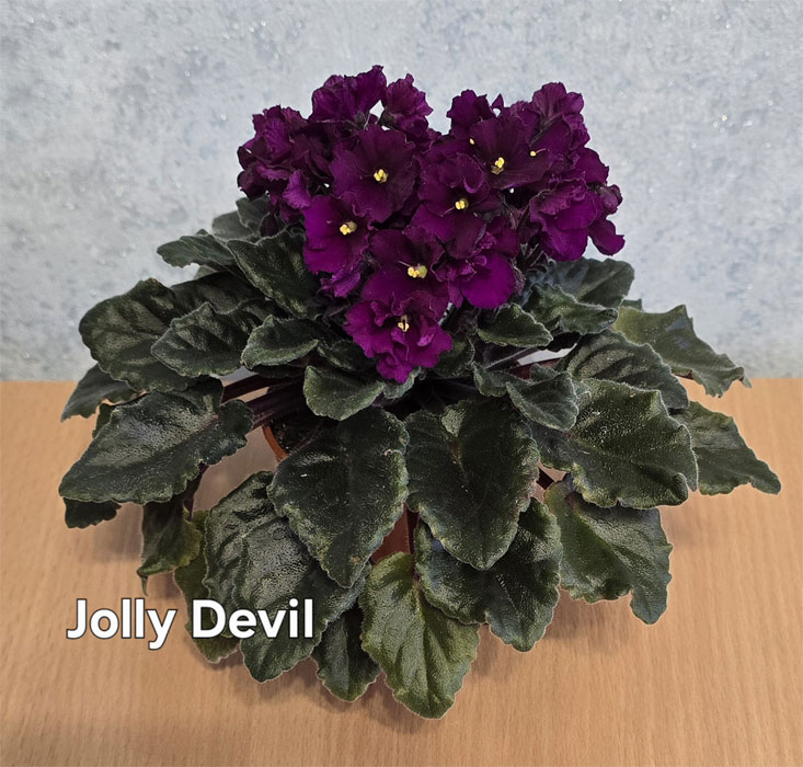 Ивашкина_jolly-devil.jpg