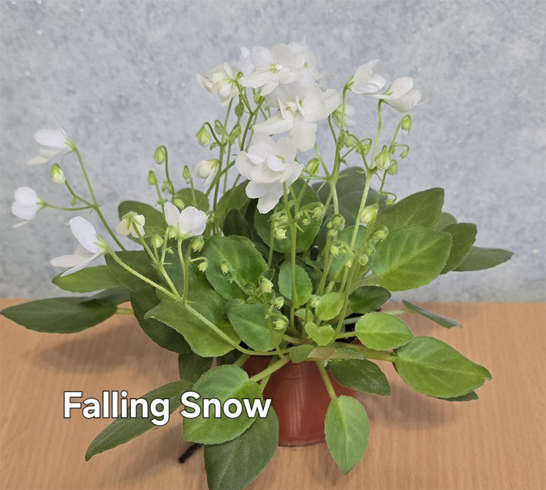 Ивашкина_falling-snow.jpg