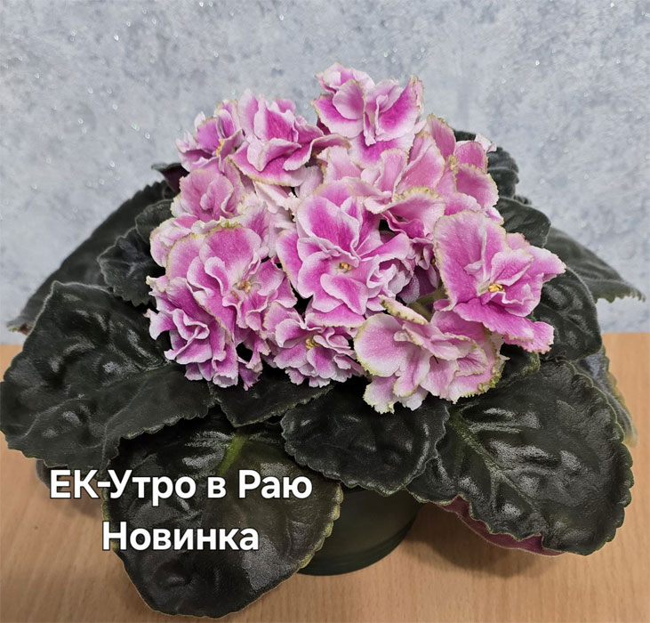 Ивашкина_ек-утро-в-раю.jpg