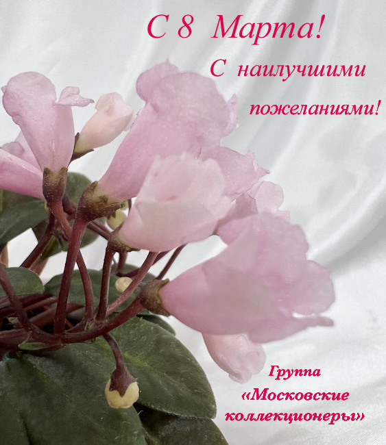 2C6D70D1-ED79-4146-95A2-B8FAC9039224.jpeg