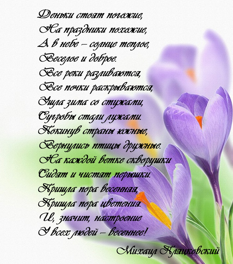 стих.jpg