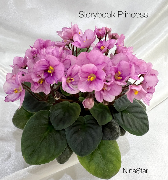 Storybook Princess