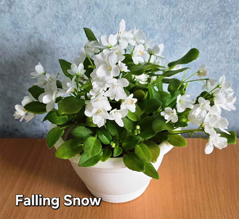 Falling Snow
