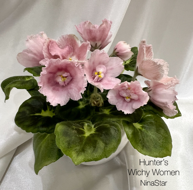 Hunter’s Wichy Women