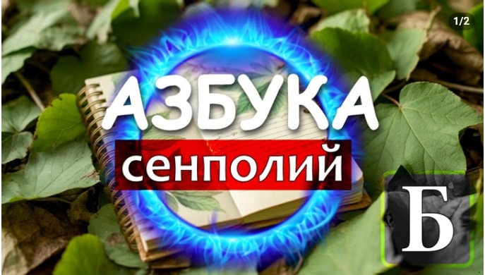 YMxMUVEn_Bc4cLFL_87nicr_sp3-I1D35KaJcMQnhY6LUkcICfG5KlT7mnaIZbyvEMCtpEkgJQeSncCPDsaxpWxI.jpg