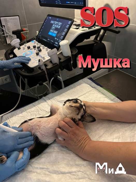 Ky61asvHMjzv8zKaktff0Q5MhlbJDy29eHqUGAqV-GGIEAr_u.jpg