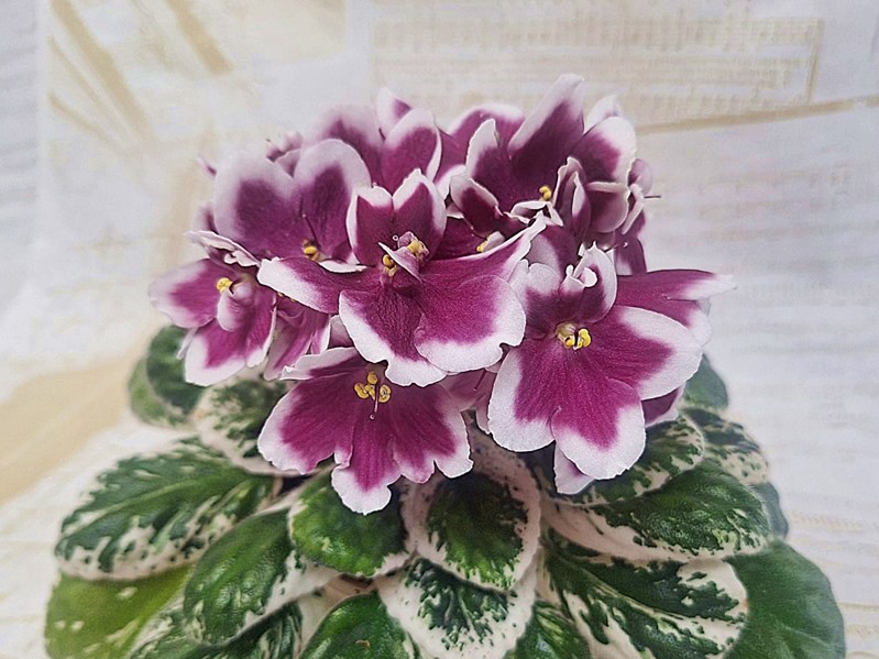 KZ-Источник Вдохновения.jpg