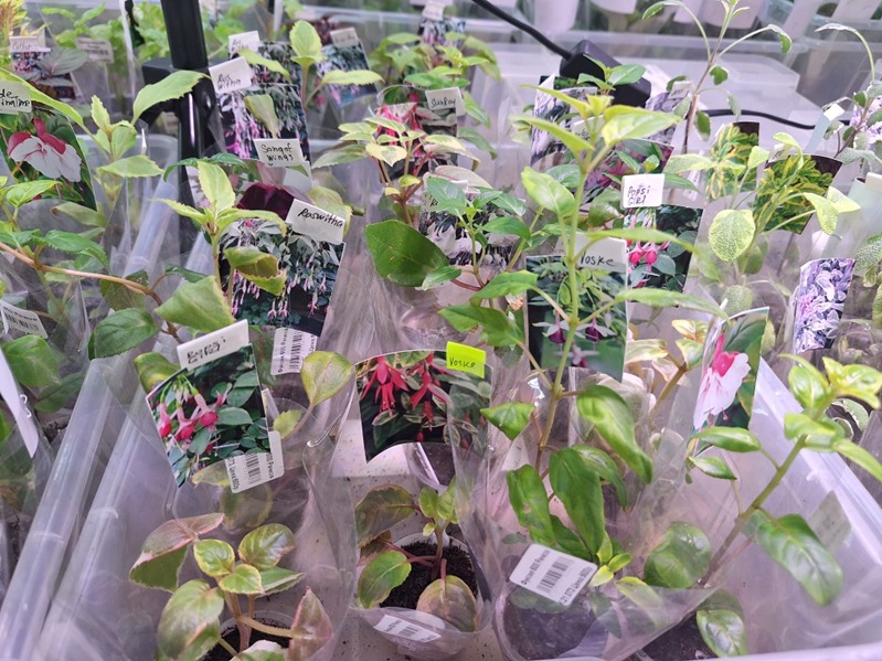 20250801_163452.jpg