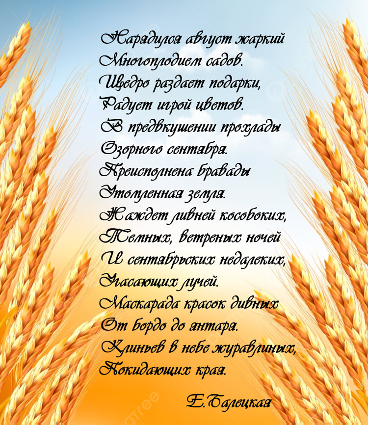 стихотворение.jpg