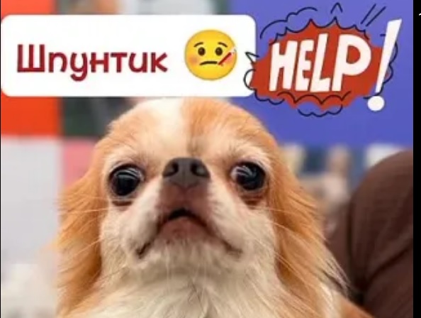 Безымянный.jpg