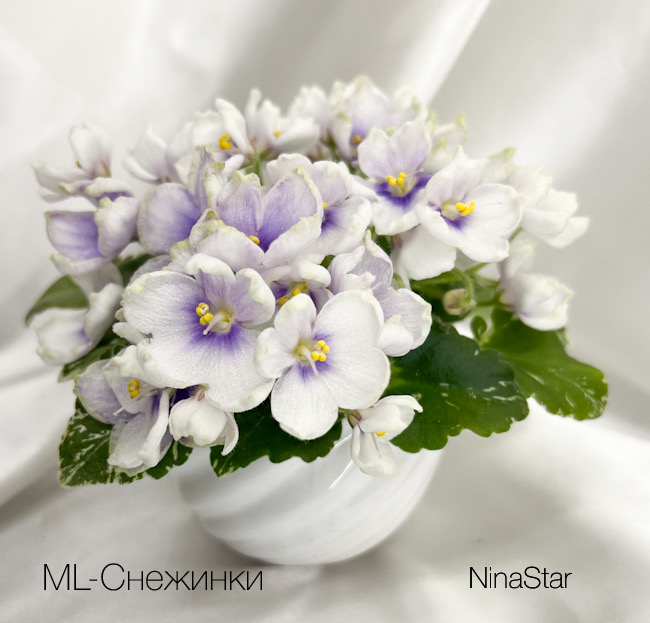 ML-Снежинки