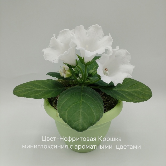 epribvae234_640x640.jpg