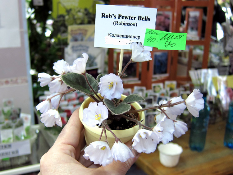 Robs-Pewter-Bells.jpg