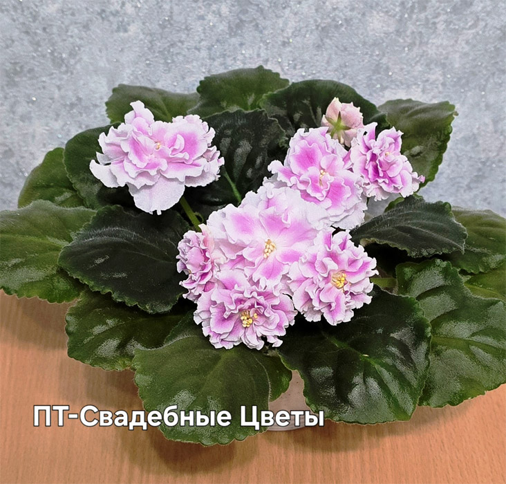 Ивашкина-пт-свад-цветы.jpg