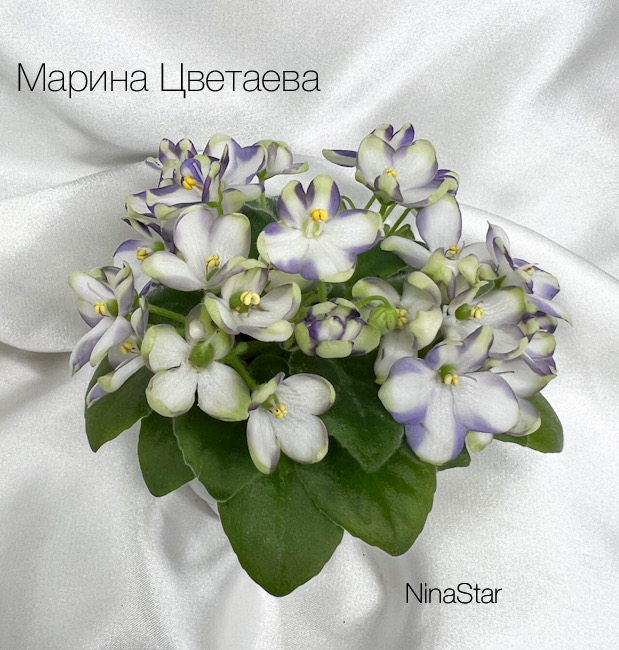 Марина Цветаева
