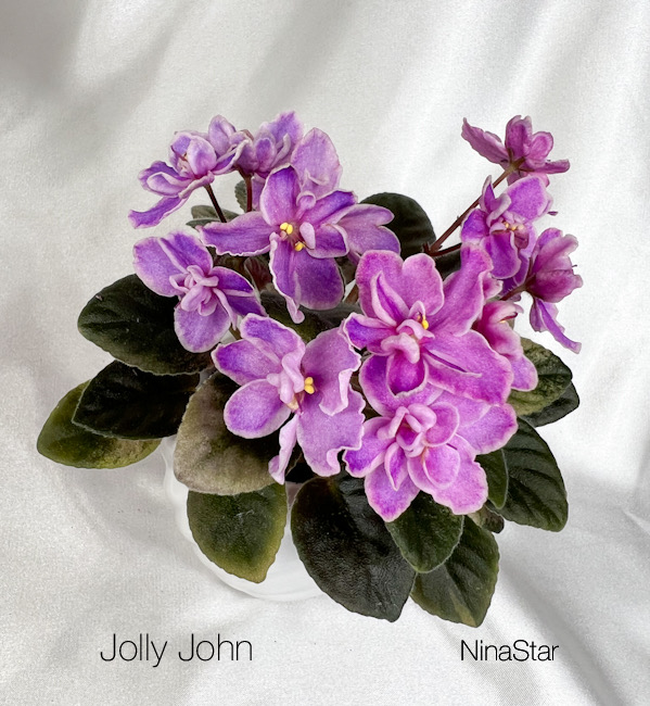 Jolly John