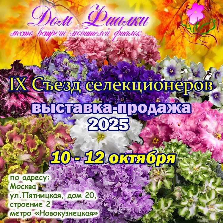 DgTu6ZXCgA8L9Da0EX6pIR4HEOP8irbfLDU_lWcy2cQsmgENSYi6JOEiiA88KY1s8C-gvlYpHZCuyUggpS_M9DzT.jpg