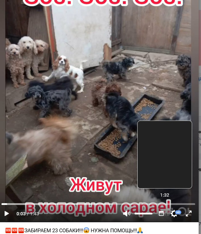 шанти ответ...jpg