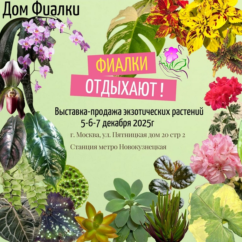 bT05e_hVDi6DWDUz4rR8usV_OyuGmIoexN1uVFHqX4sy2iMjItDujmwaV18Q_nJovRuINOiSVZcGH8_b90RpTMWx.jpg