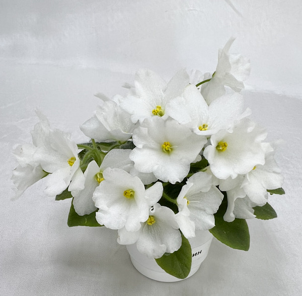 ADC0203E-390D-4DB5-88A6-BBBEE6F5BB8B.jpeg