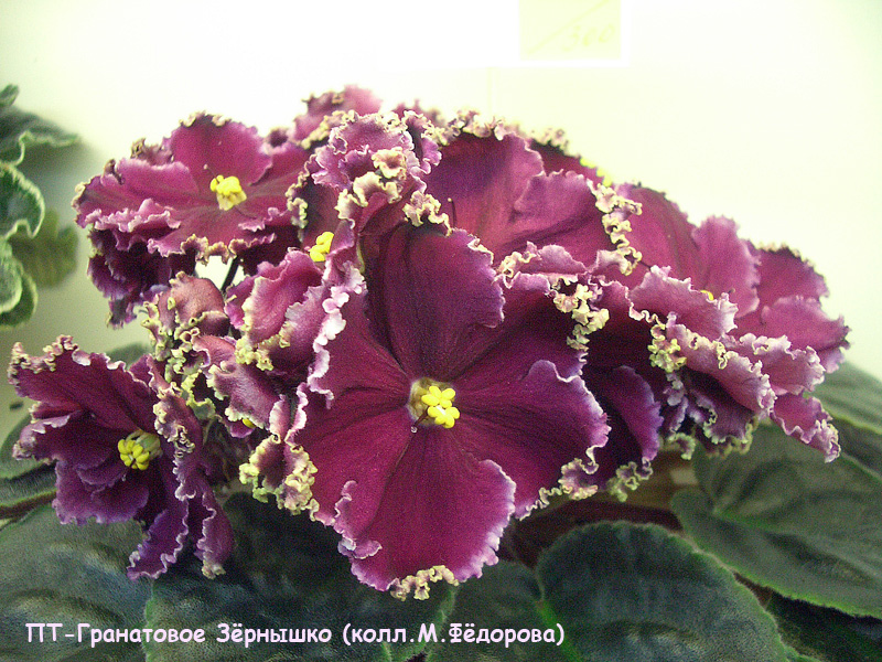 CIMG0634.JPG