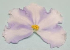 IMG_20260105_162351.jpg
