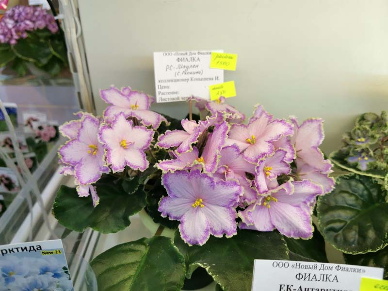 IMG_20260108_175304.jpg