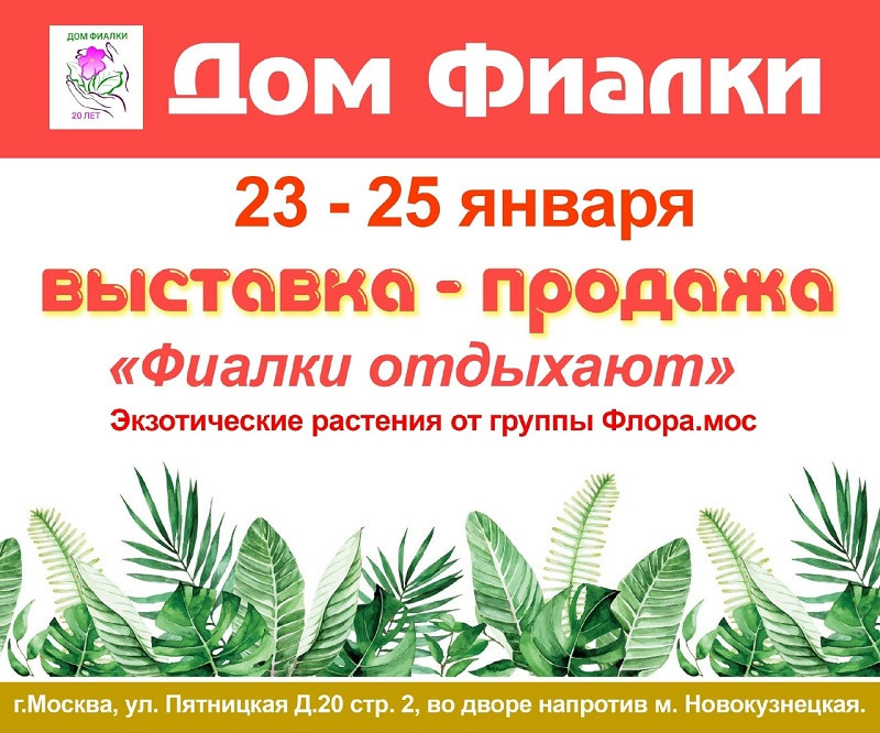 dRBMeazIZZcKKQS-hlprVs7XBnJyTRYHhPB0QG46KWAtzcnKZDyD1gfcBtjgUjLHRtgTNCj6ilxRMt5cOGusyAij.jpg