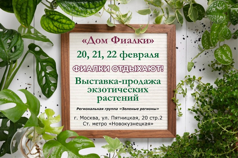 ugsjZf5WNKra24xCbH2hDp0TH2I4cpa3RlI94tWbhqmz7av16qzkR1oBvrDSfRtPwss4Av8n589HkYUaPojUT83R.jpg