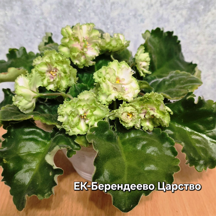 ек-берендеево-царство.jpg