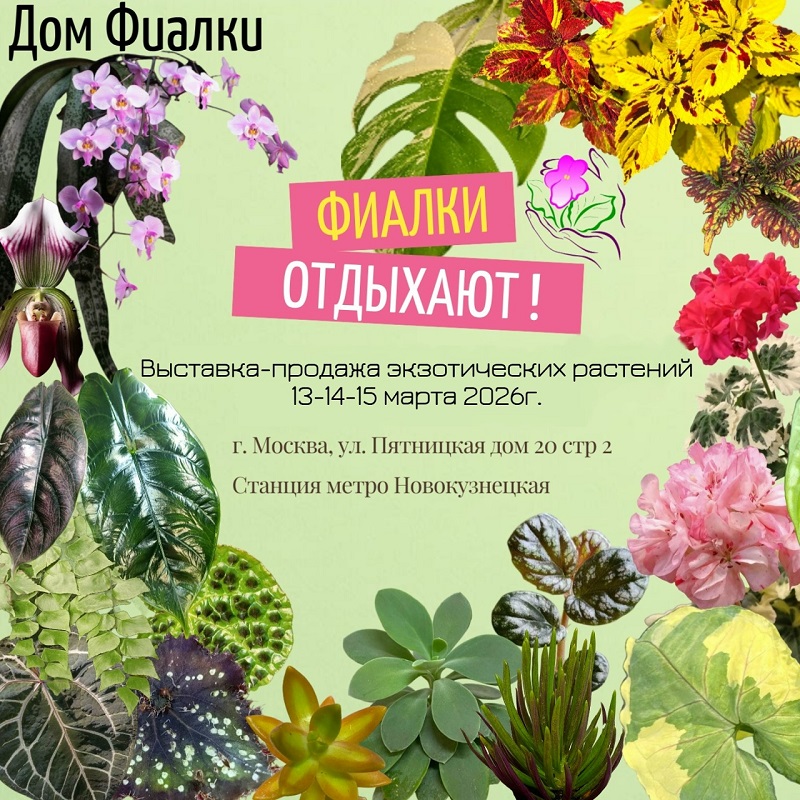 eaSYfCApkjq18tPUpc1zpcadjw62eayAhGCUV65KZq-wzt_n94htTXO9yxLs8O03KlLHXU4tji1dFowcXuBBv1Bs.jpg