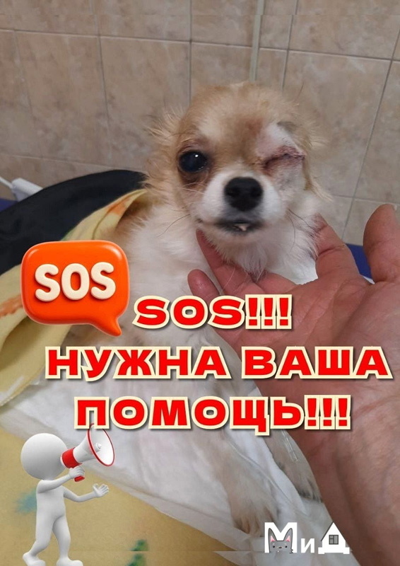 Мия март2026.jpg