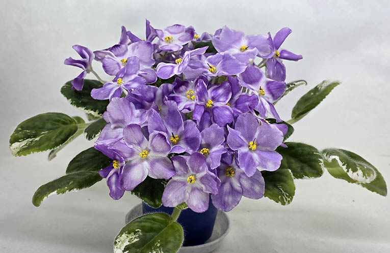 20260415_010120.jpg