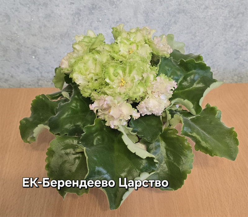 ек-берендеево-царство.jpg