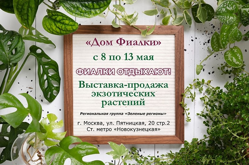 LHJSFt-H2gdqdL2J7ZPH6c6j0hAJ9EfKbjPIuG75506ktd6FeH-hYcRlsFJvmniJkmNHkiTIG_x8UO5GcDt_rMJj.jpg