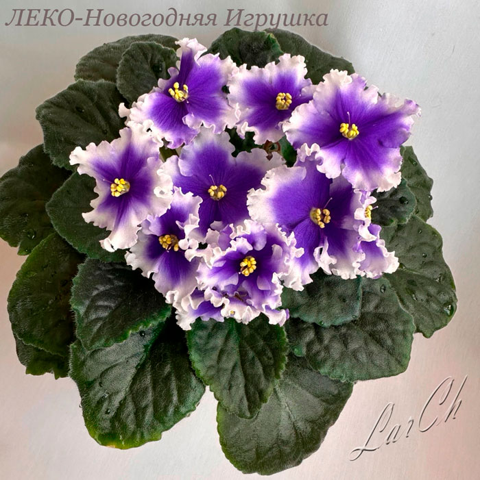 ЛЕКО-Новогодняя-Игрушка.jpg