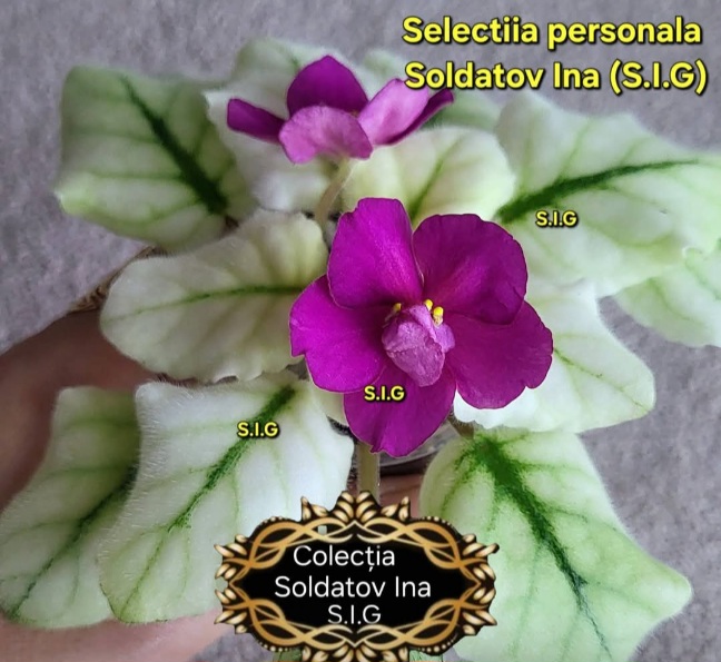 Screenshot_20260520_085739_Facebook.jpg