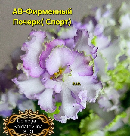 Screenshot_20260521_115947_Gallery.jpg