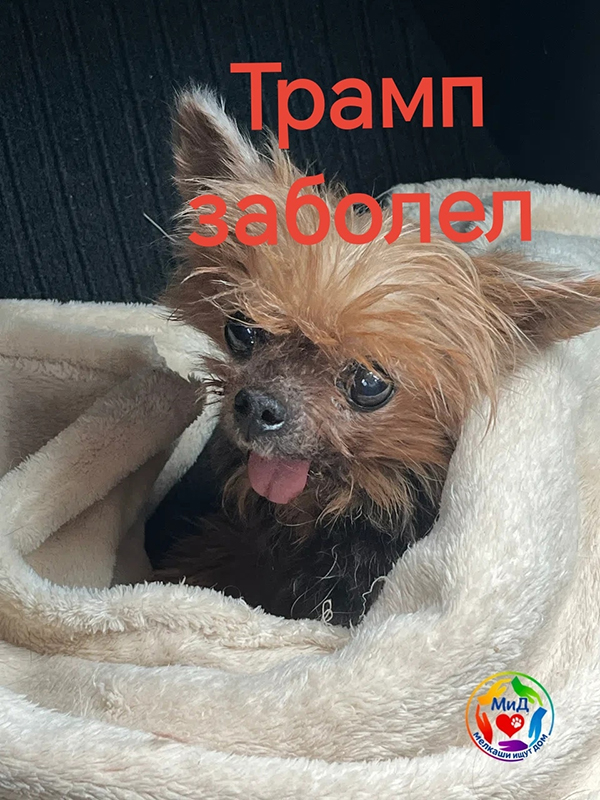 1YBK3mHV4t2uafiG_rZm6d4pf-c81DOUclsnRCUp4jb2D7XqNV-8Uj0ClOj-S2_4Taj3anBiu6MbwjW-B9W1ABjQ.jpg