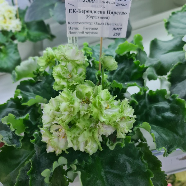 ЕК-Берендеево Царство