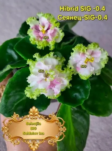 Screenshot_20260718_195018_Facebook.webp