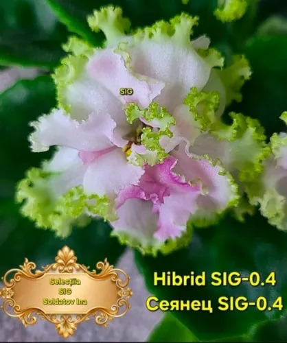 Screenshot_20260718_195009_Facebook.webp
