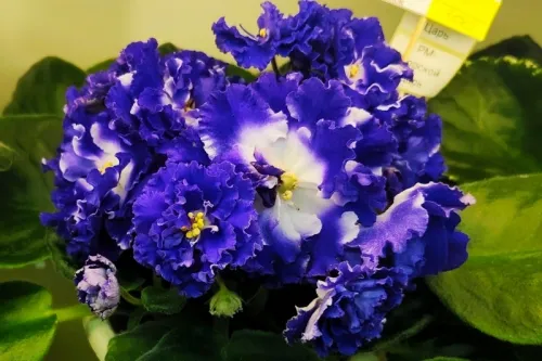 IMG_20260726_094032.webp