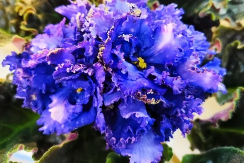 IMG_20260726_094354.webp