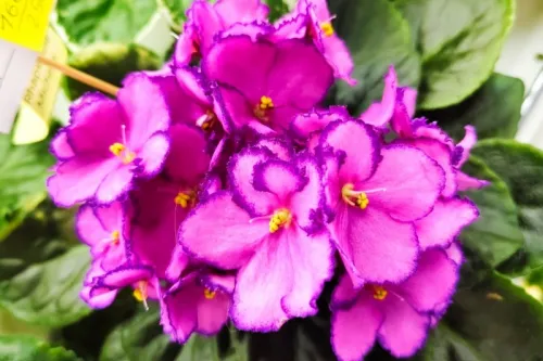 IMG_20260726_094553.webp